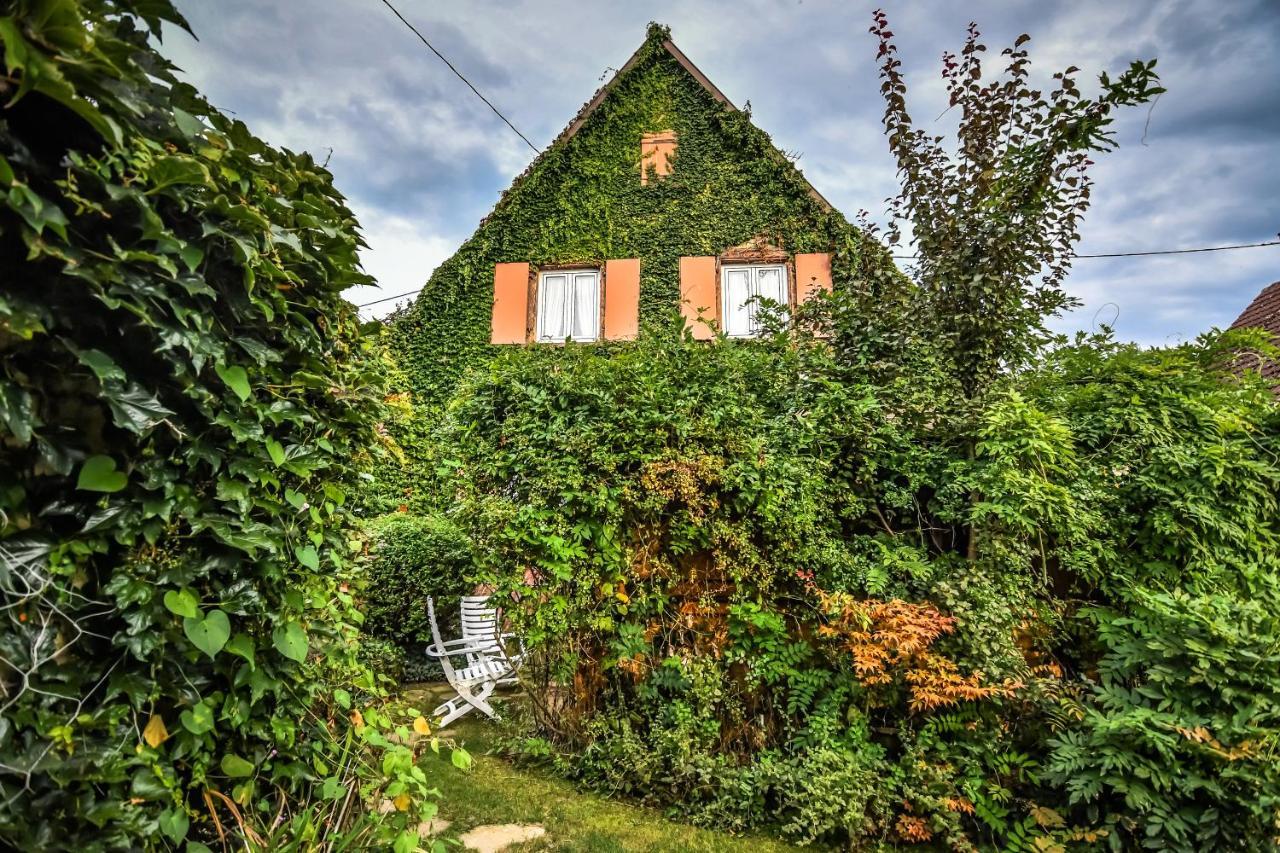 ❊ Au Murmure De L'Eau Au Coeur De L'Alsace ❊ Ebersheim エクステリア 写真